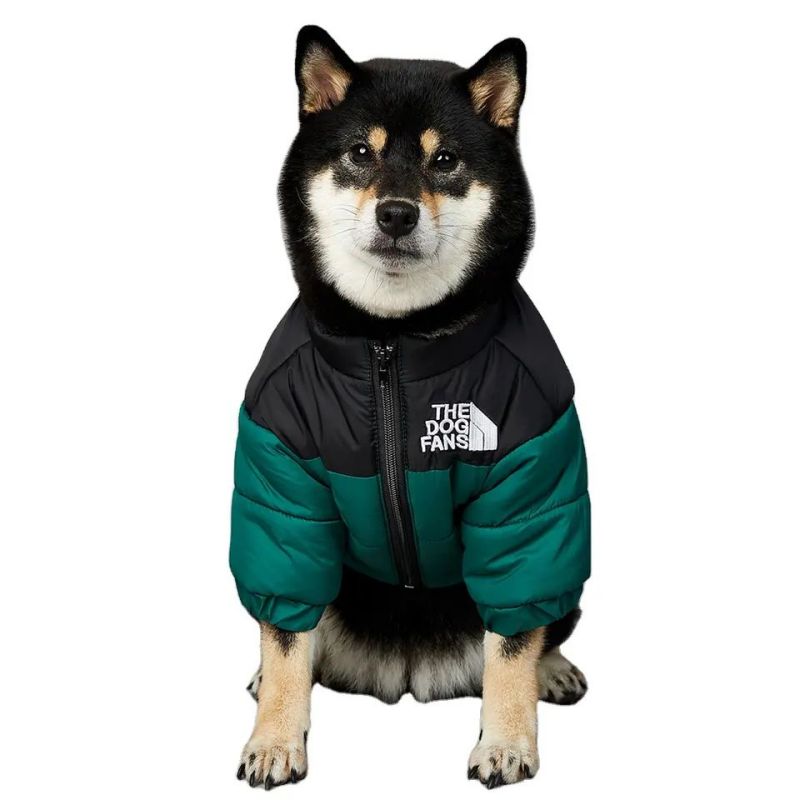 Pet Jacket ခွေးအသေးနှင့် ခွေးကုတ်အင်္ကျီ ခွေးအဝတ်အစားများ